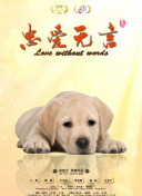 重返天道轮回：解锁隐藏剧情与角色